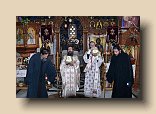 P1090421 (Medium)